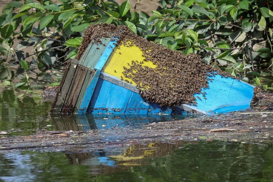 Inundação após colapso da barragem de Kakhovka