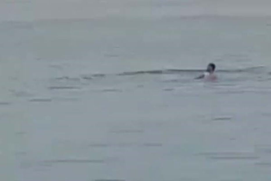 Jovem atacado por tubarão-tigre