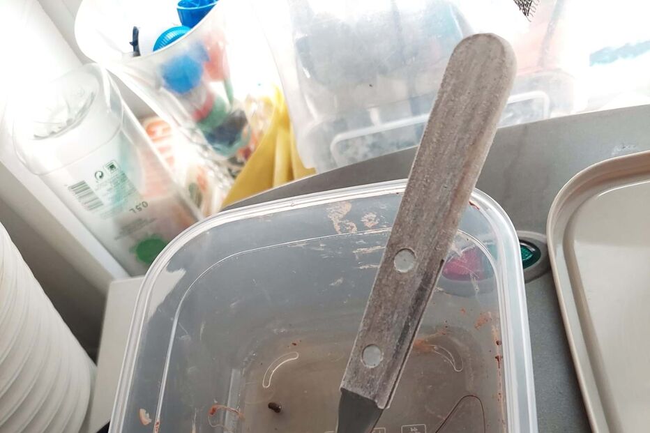 Barata numa embalagem de comida na base de ambulâncias do INEM no Hospital de Faro