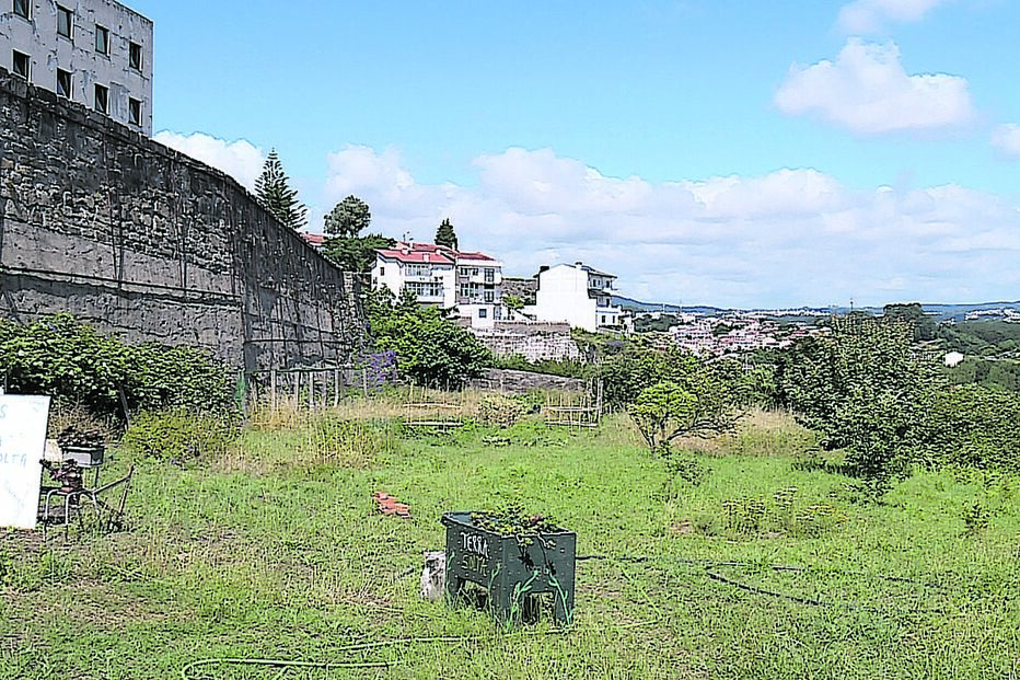 Terrenos do Movimento Terra Solta, no Porto. Não falta uma horta com produtos biológicos 
