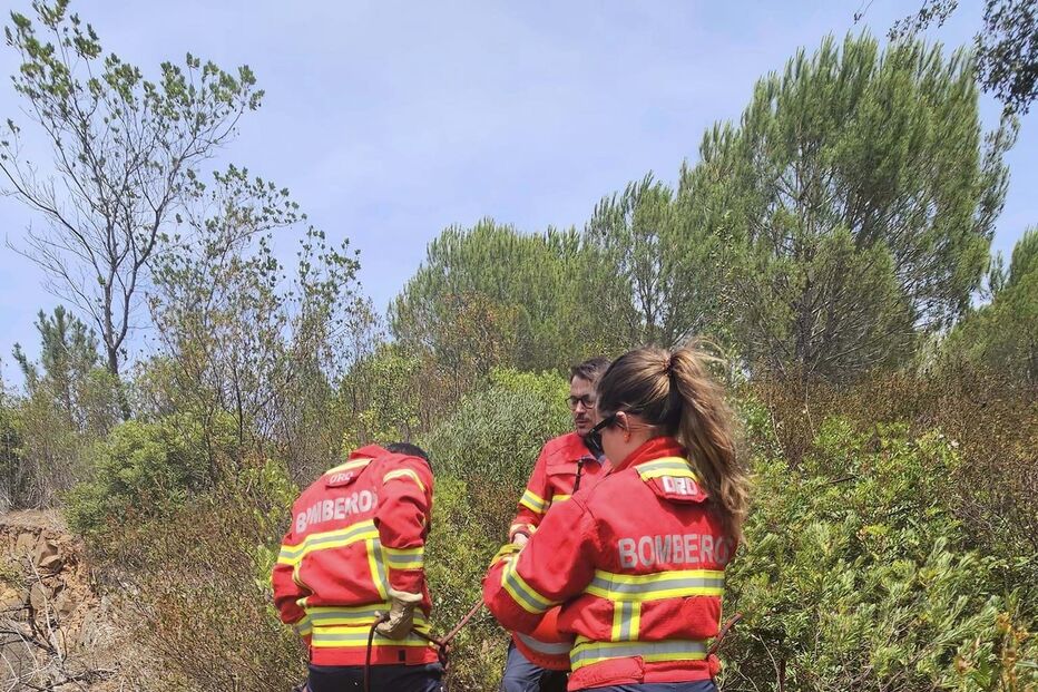 Bombeiros Mistos de Grândola salvam cadela presa em parede de antiga pedreira
