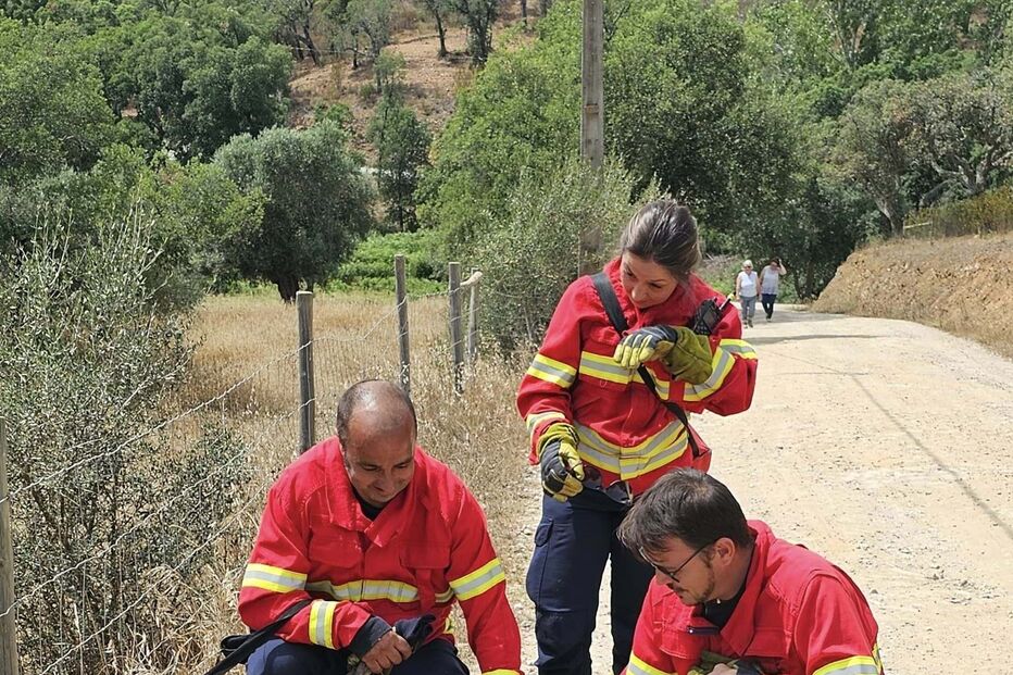Bombeiros Mistos de Grândola salvam cadela presa em parede de antiga pedreira