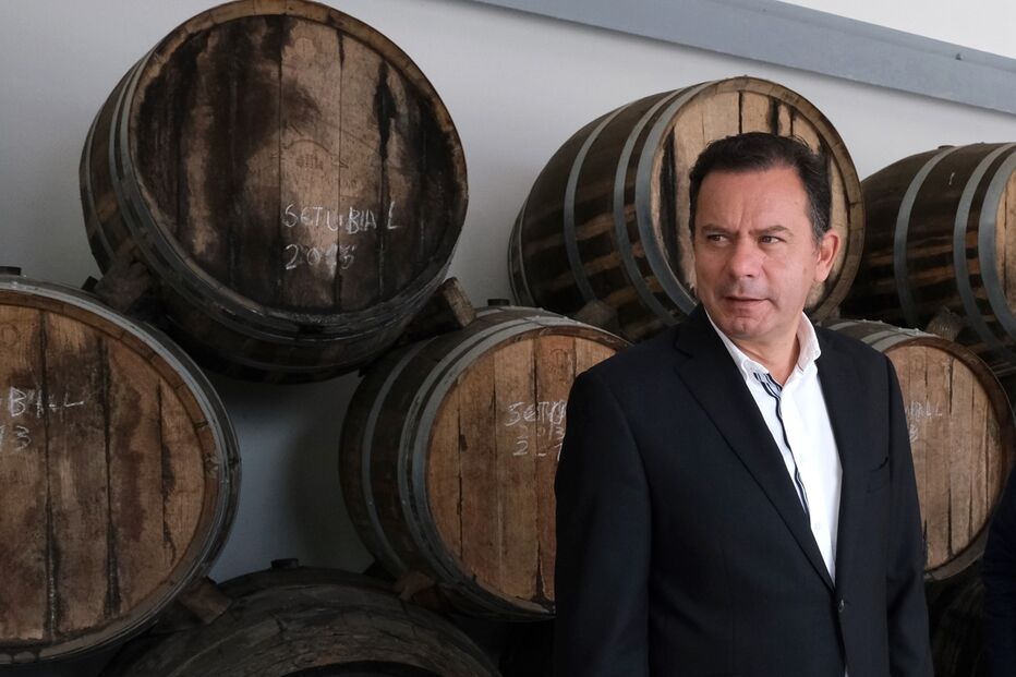 Luís Montenegro, PSD