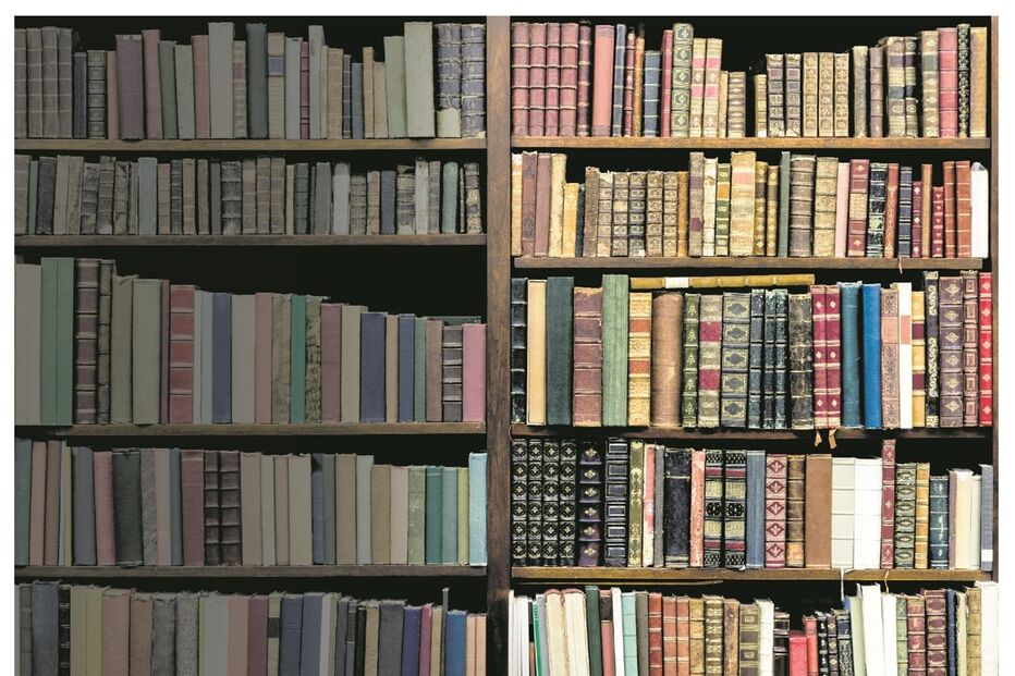 livros, setor livreiro