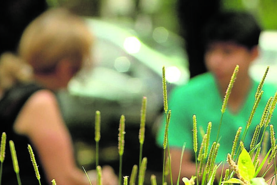 BSports, liga futebol, tráfico humano