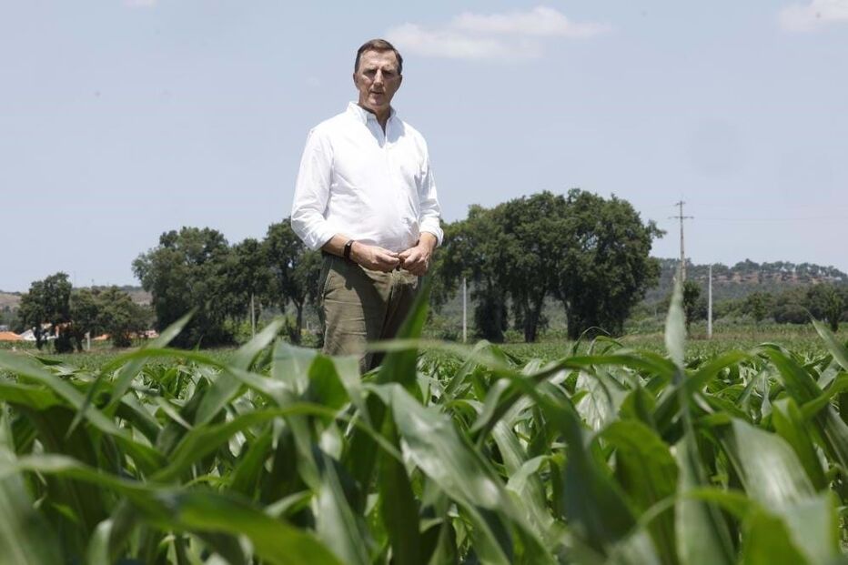 Quinta da Cholda, agricultura, ecologia, produção de milho