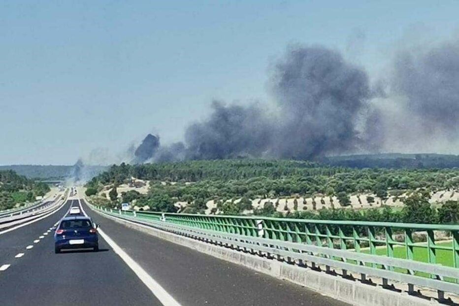 Incêndio em zona de mato em Almeirim