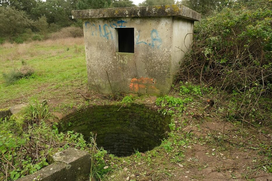 Abandonaram o corpo embrulhado num lençol e deixando-o num poço
