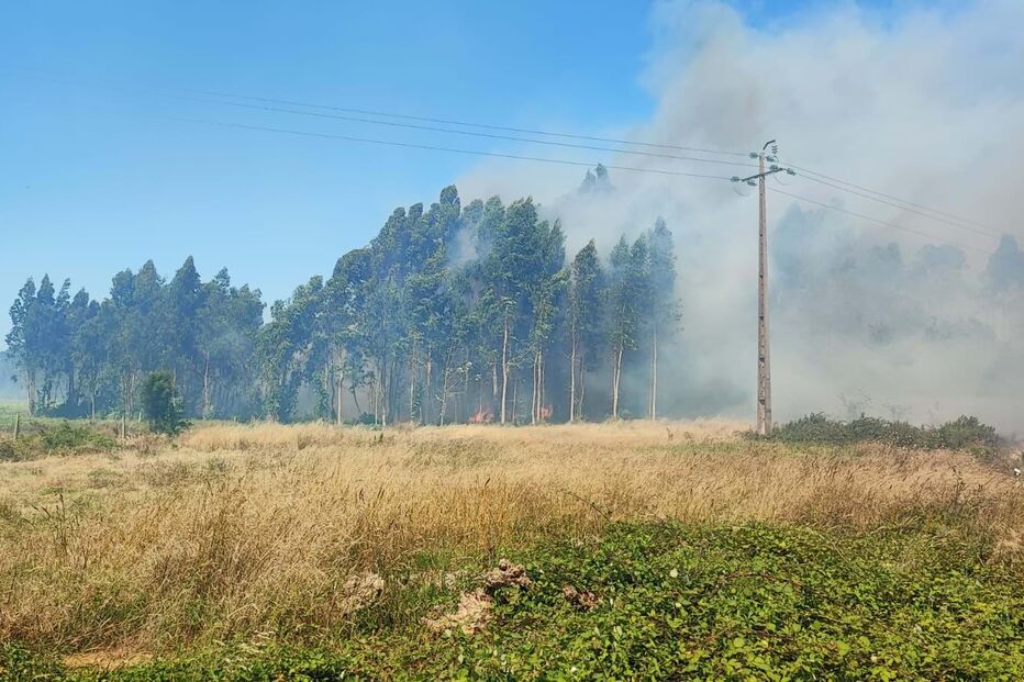 incêndio aveiro