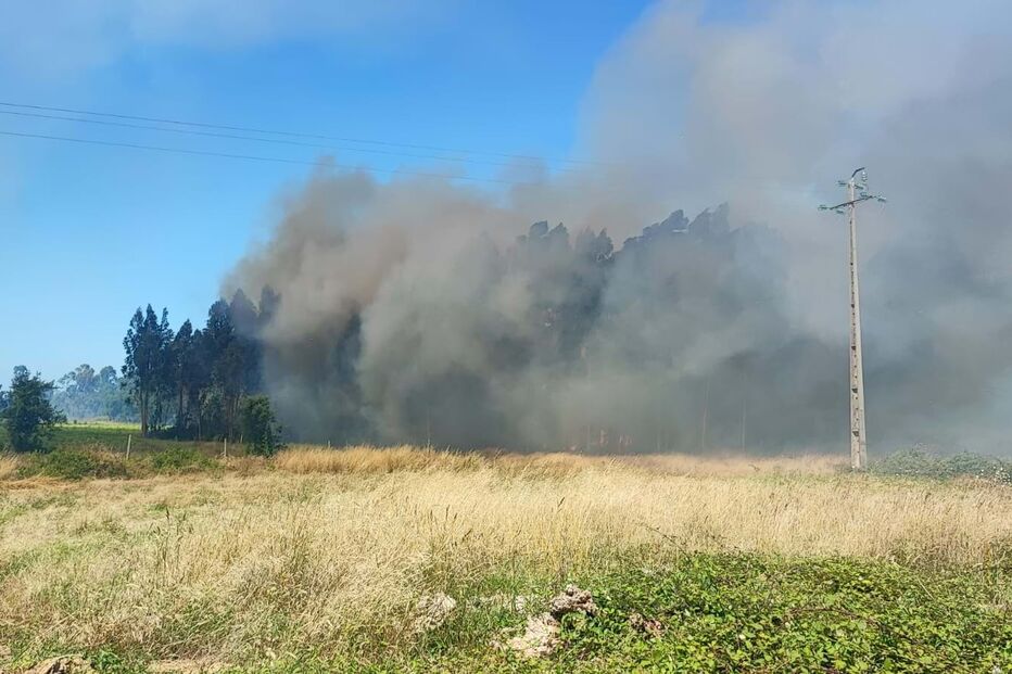 Incêndio aveiro, fumo
