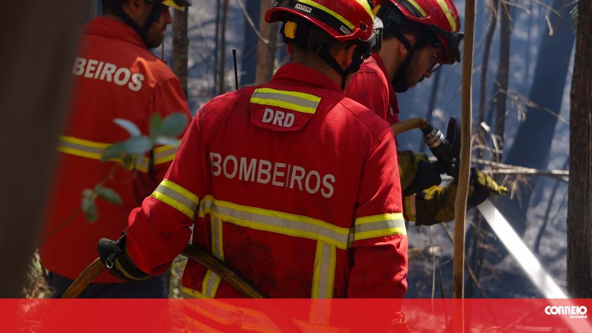 Incêndio numa mata em Penalva do Castelo mobiliza 33 operacionais – Portugal
