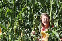 2023-07-03_16_48_38 img_1280x720$2023_07_03_11_50_57_456178.jpg