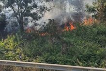 Incêndio florestal junto à radial de Benfica