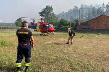 Incêndio florestal em Albergaria-a-Velha mobiliza 82 bombeiros
