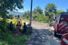 Bombeiros salvam cão