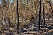 Incêndio no Cadaval 