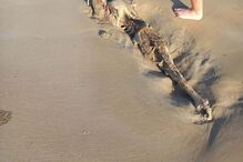 Imagens impressionantes mostram esqueleto misterioso encontrado numa praia na Austrália