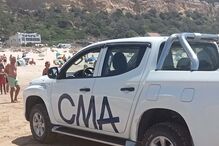 Golfinhos mortos na praia da Fonte da Telha