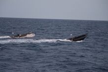 Apanhada lancha de tráfico e detidos cinco suspeitos em alto mar