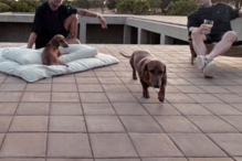 Publicação de Mateo Bou Bahler 