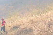 Incêndio deflagra numa zona de mato em Algés	