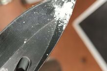 2023-07-27_08_57_43 policiafederal2.jpg