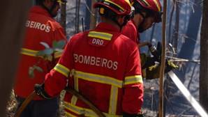 Proposta da Liga dos Bombeiros faz aumentar dispositivo de combate a incêndios