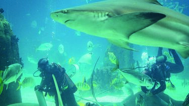 Oceanário Lisboa