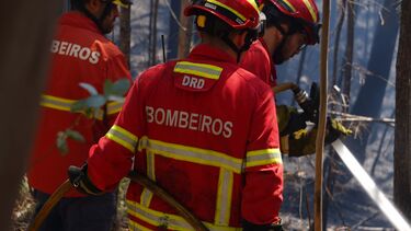 Incêndio em Évora mobiliza mais de 140 operacionais e seis meios aéreos