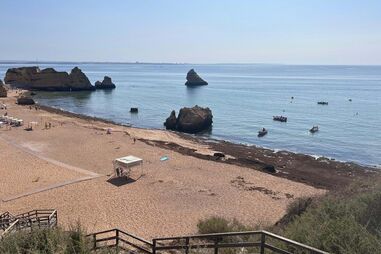 Algas no Algarve