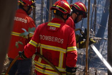 Bombeiros 