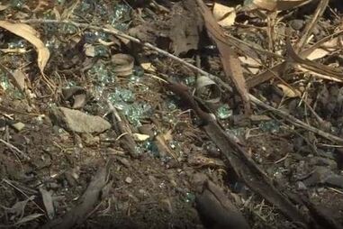 Jovem morre após despiste do carro em que seguia em Almodôvar