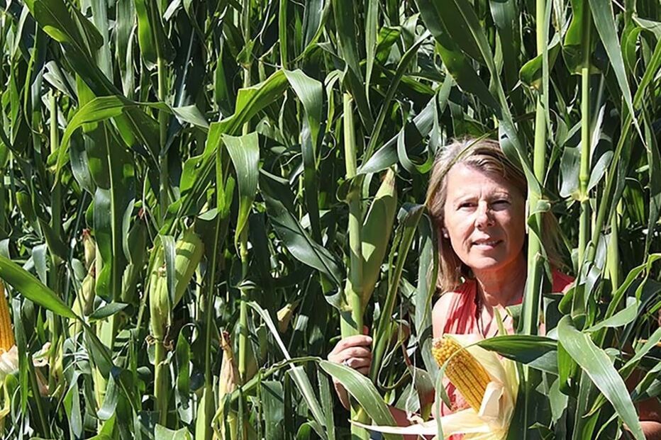 2023-07-03_16_48_38 img_1280x720$2023_07_03_11_50_57_456178.jpg