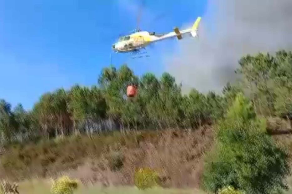 Incêndio em Ourém