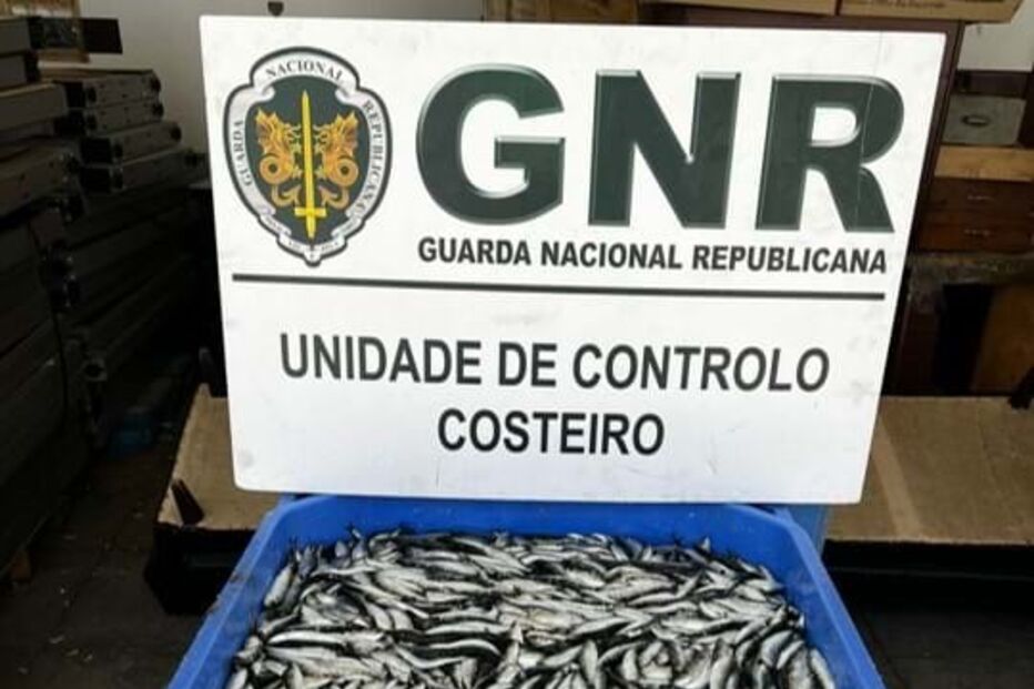 Pescado, apreensões, GNR