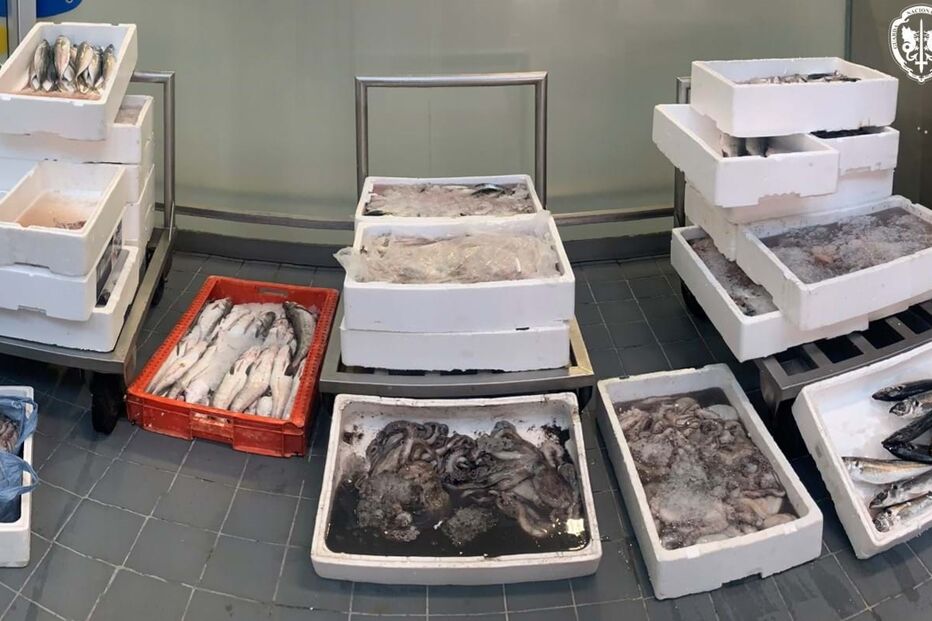 Pescado, apreensões, GNR