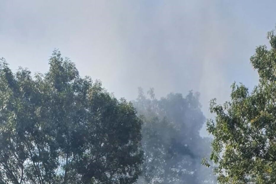 Incêndio florestal junto à radial de Benfica