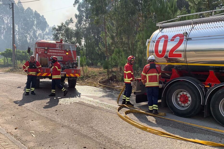 incêndio albergaria-a-velha