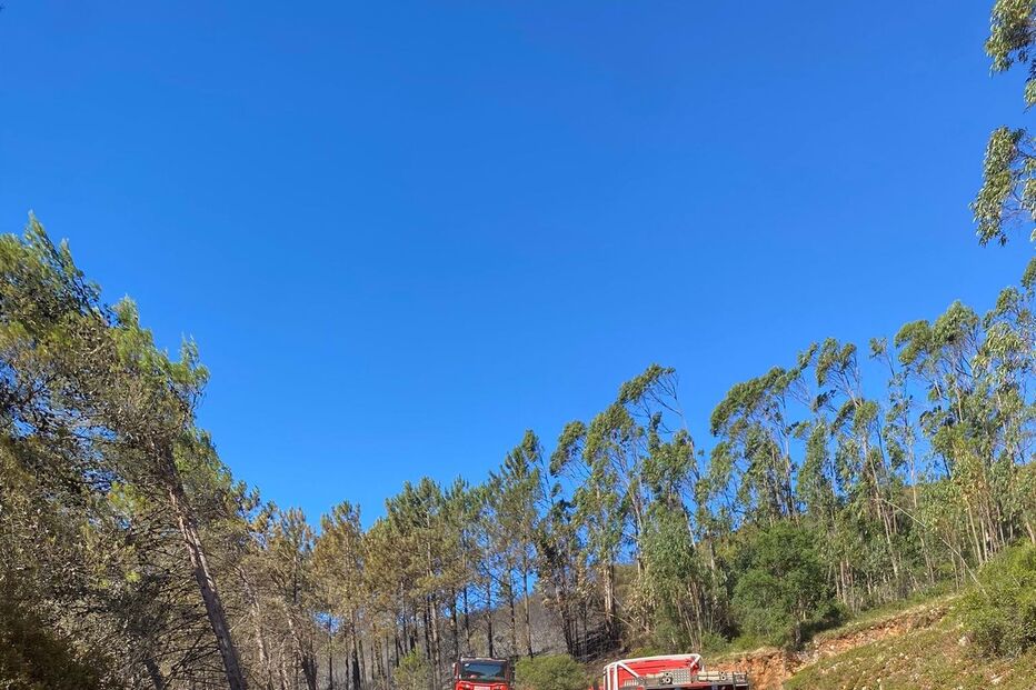 Incêndio na Serra de Montejunto