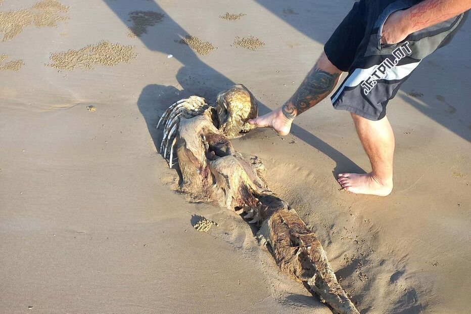 Imagens impressionantes mostram esqueleto misterioso encontrado numa praia na Austrália