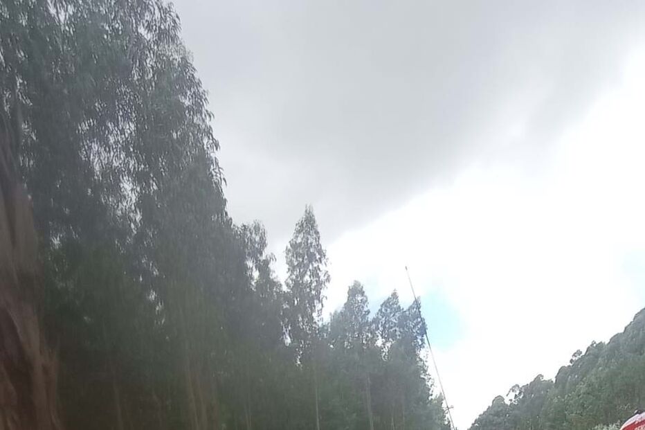 Despiste de carro em Penacova