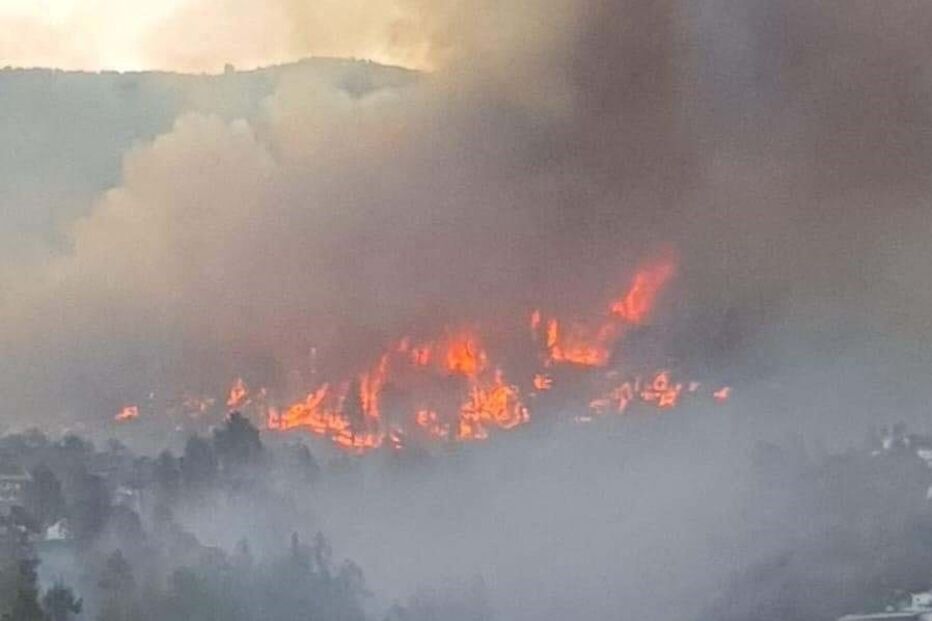 Incêndio em La Palma, Espanha
