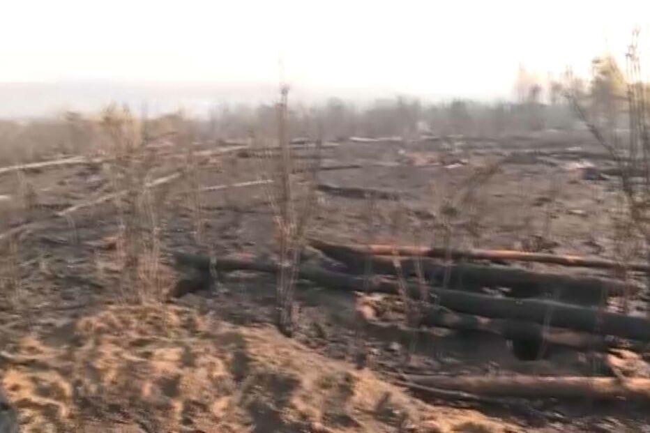 Incêndio em Oliveira do Hospital