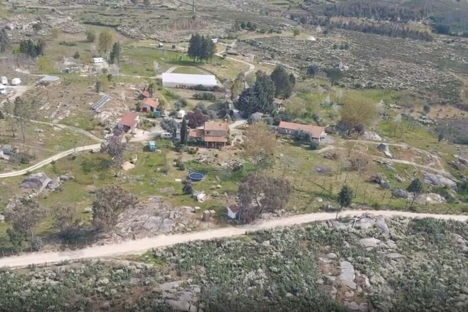 2023-07-19_10_24_16 Reino Pineal.jpg