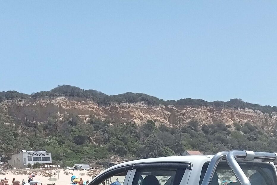 Golfinhos mortos na praia da Fonte da Telha