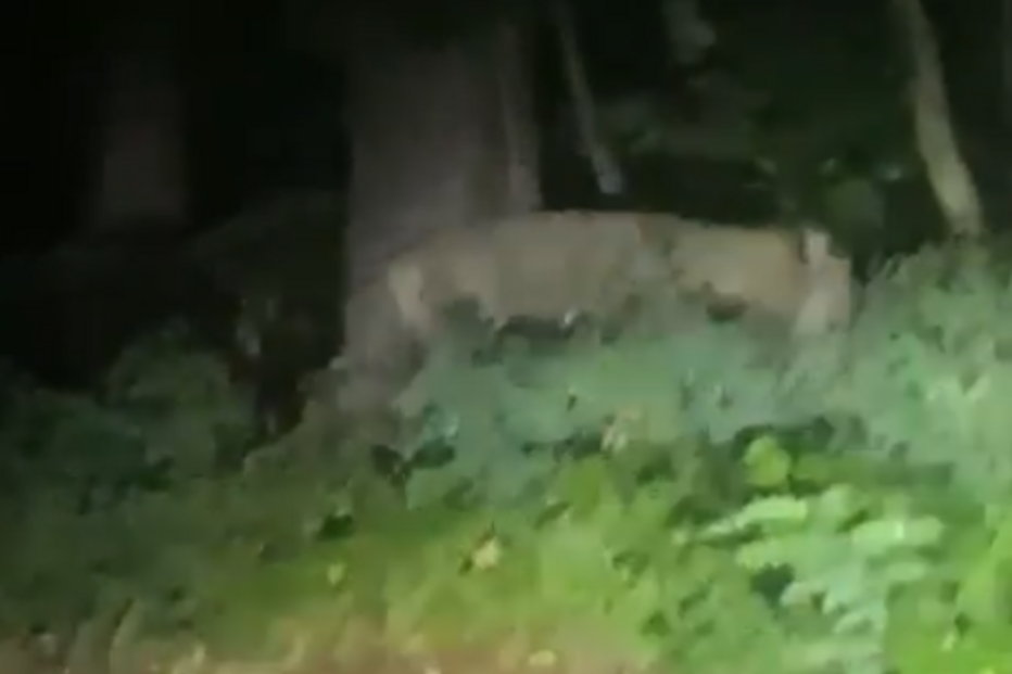 2023-07-20_10_29_29 Captuxvcxre.jpg