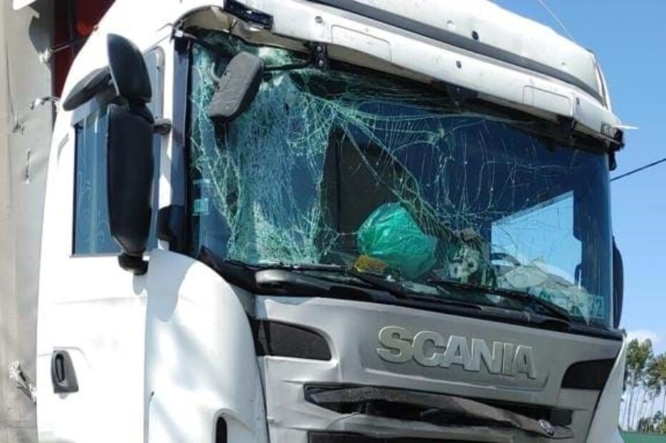 Colisão entre dois camiões em Albergaria-a-Velha