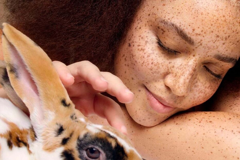 2023-07-24_12_07_50 capa.jpg