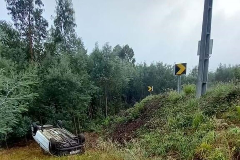 Despiste em Oliveira de Azeméis