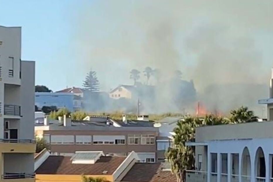 Incêndio deflagra numa zona de mato em Algés